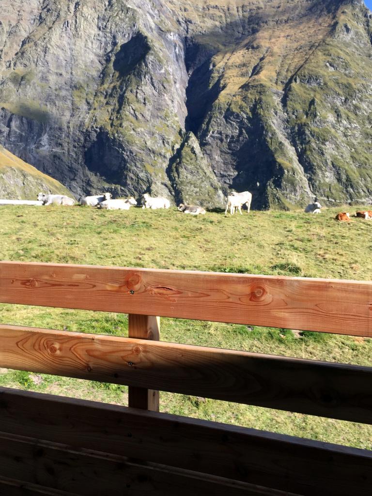 Vue exterieur du balcon l'éte le grec